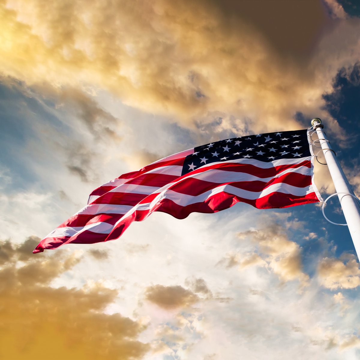 TCCSoutheast's tweet photo. Reminder: TCC campuses will be closed on Monday, July 4 in observance of Independence Day. https://t.co/AF3eyQIJLY