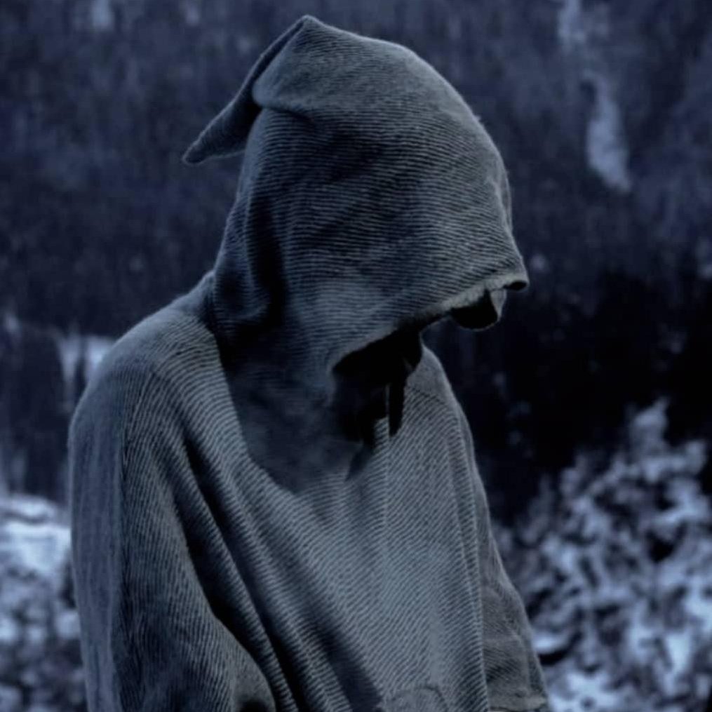 Wolcanoa tweet media