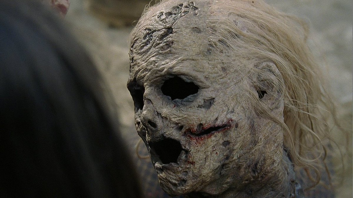 screenscaps's tweet image. the walking dead (2020)