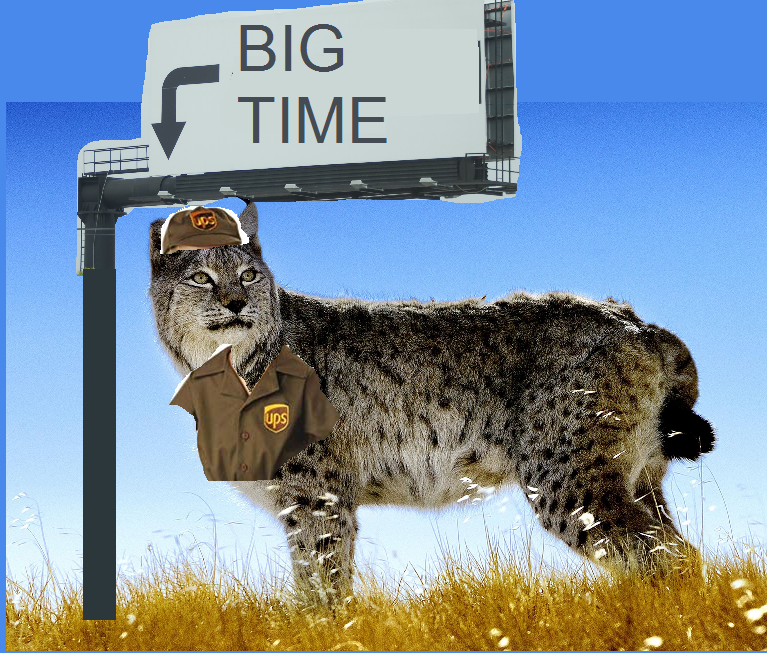 UPSLynx's tweet photo. I've been seeing this far too much lately, but today was my turn. Layoffs hit Unity and I was let go this morning. 

I'm not in a rush to get back at it, but happy to look at any gigs yall might have for a Sr. level social media analyst and/or community! 

Pic not related.... Or? https://t.co/iEgtWkUWpP