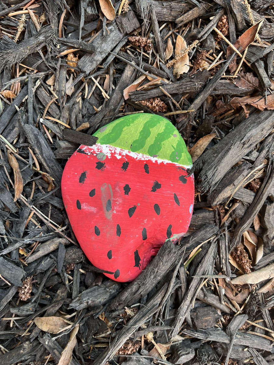 Ended the year by having every student paint a rock for our new rock garden. <a href="/dsbn/">District School Board of Niagara</a>
