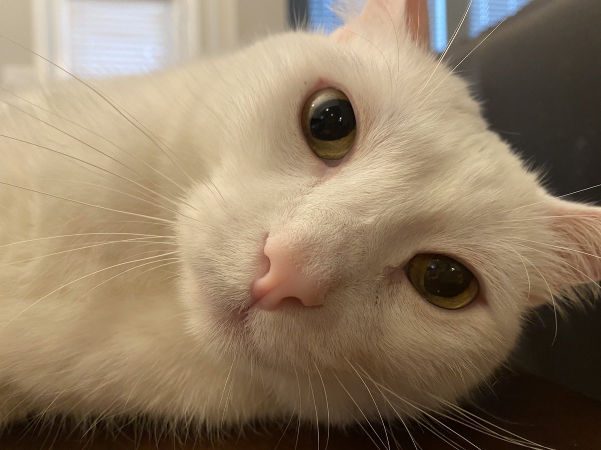 Feeling cute. Might do the delete later.