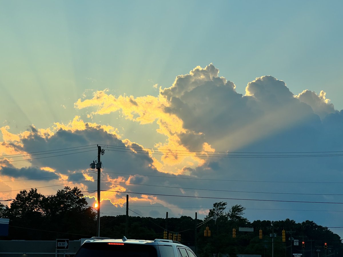 Rodney Shotwell tweet media