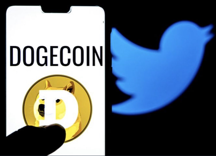 fred_seydel's tweet photo. Fun fact Elon ♥️’s Twitter &amp; Elon 💛’s Dogecoin! It’s the most fun cryptocurrency! To the Mooooon!Indeed! Dogecoin will become the cryptocurrency of the world!Dogecoin has the most friendly community! Much WOW!💯🎉💎🙌🚀🚀🚀 #Doge #Dogearmy #DoOnlyGoodEveryday #acceptdoge https://t.co/wFGWrNXya6