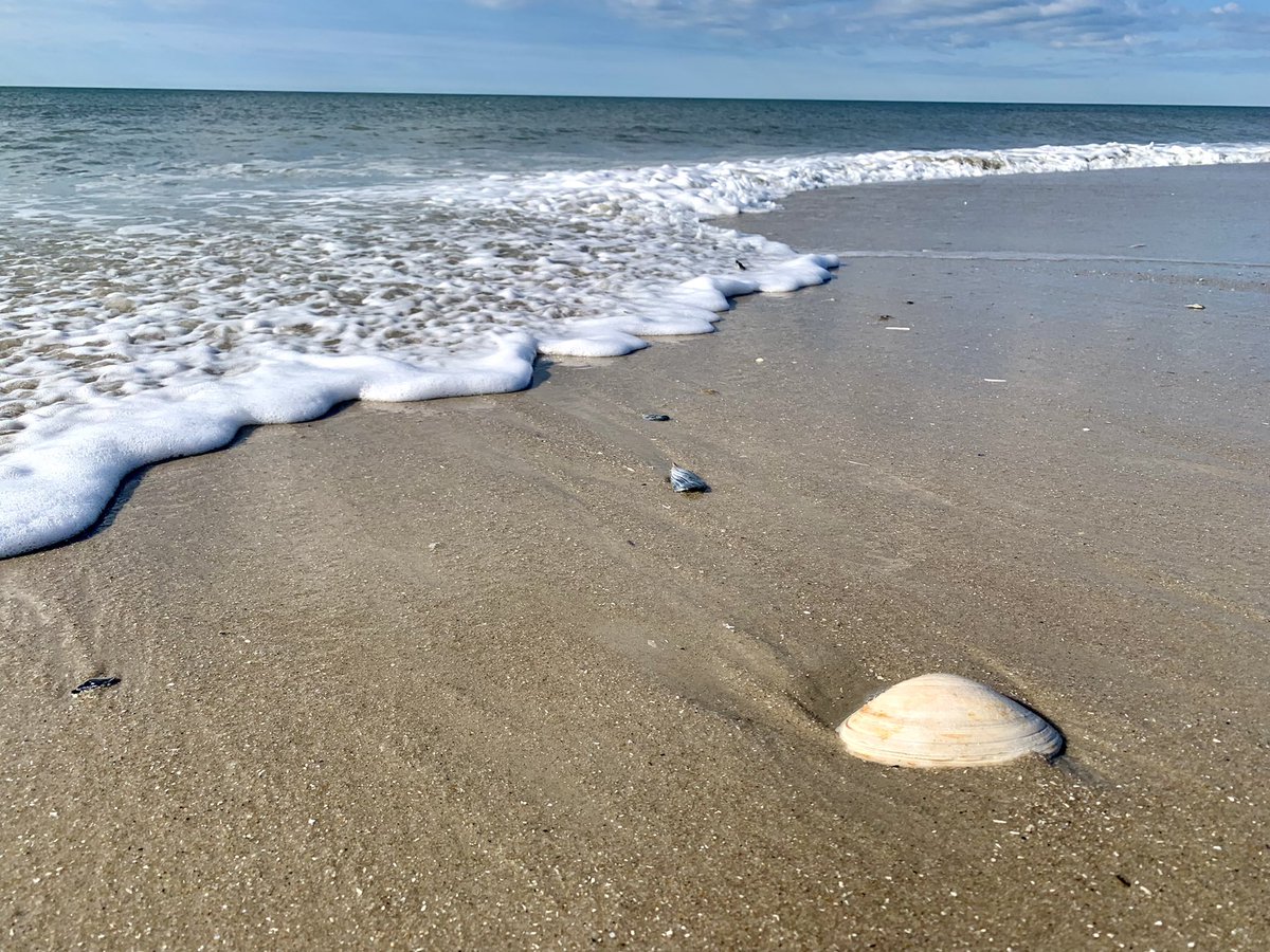 Beach vibes 🐚
#beach #capemay