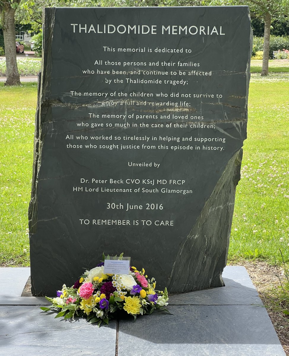 RosieMS's tweet photo. THALIDOMIDE MEMORIAL DAY - 30TH JUNE 2022
#ToRememberIsToCare #ThalidomideMemorial #ThalidomideMemorialDay #ThalidomideMemorialDay30thJune
#ThalidomideSurvivors #ThalidomideSpain 
#ThalidomideBrazil #ThalidomideCanada 
#ThalidomideItaly #ThalidomideAroundTheWorld 
@ThalidomideM https://t.co/tFlOWOuYIH