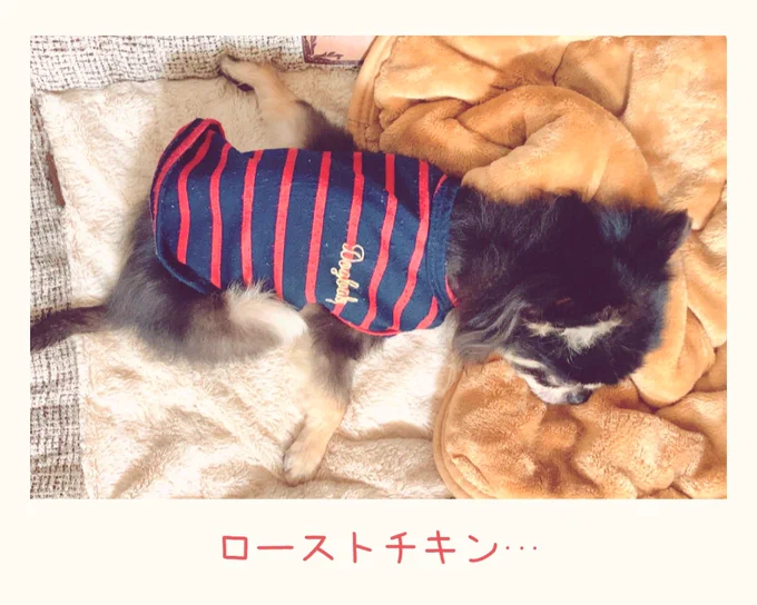 なんかに似てるなと思ったら… 