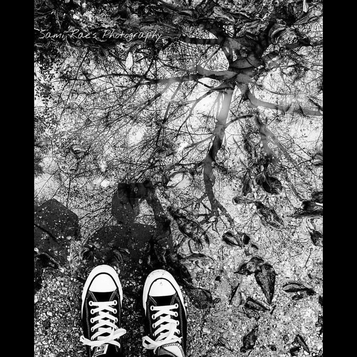 SamisPhotos's tweet photo. #iphone https://t.co/kprxPVmjaJ