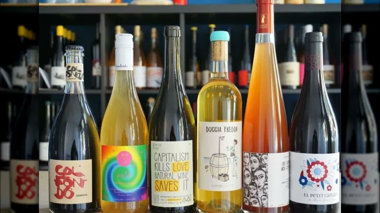 12 Reasons Why You Should Drink Natural Wine bit.ly/3NtndXh by <a href="/TastingTable/">Tasting Table</a> #naturalwine #wine #winetasting <a href="/ViniNaturali/">Vini Naturali Online - ViNO 🍇</a> <a href="/naturalwinecamp/">aikawa 🍷NaturalwineCAMP🏕</a> <a href="/libationlondon/">Libation Natural Wine</a> <a href="/naturalvine/">Natural Vine</a> <a href="/libationlondon/">Libation Natural Wine</a> @Naturalwines <a href="/petnaturals/">Pet Naturals</a> <a href="/VinNatur/">VinNatur</a> <a href="/Vins_Nature/">Syndicat de Défense des Vins Nature'l</a> <a href="/rawwine/">RAW WINE</a> <a href="/SteveKubota/">Steve Kubota 🇨🇦</a> <a href="/nineov/">Katherine Rosewell</a>