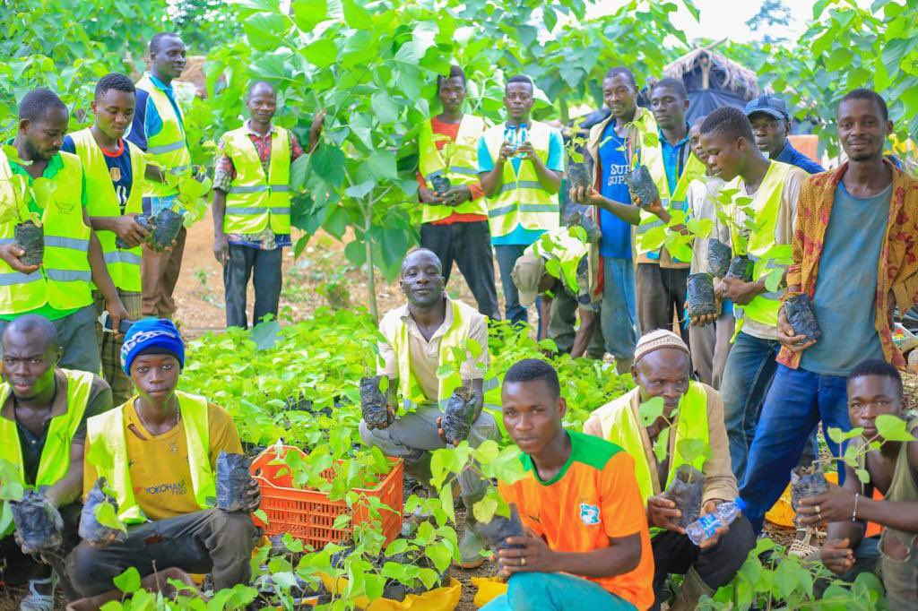 YodeSiro's tweet photo. La caravane du reboisement populaire est passée la ville de Oumé ce mercredi 29-06-22                                25 hectares de Gmelina plantée dans la forêt classée de Téné                           #Fondation yes https://t.co/pCsSFPxi0Q