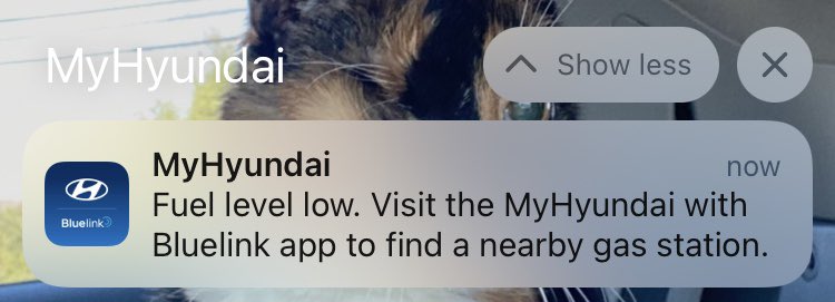 GeekPinzone's tweet image. Hmm @Hyundai the app seems a little confused, although it’s not wrong, my Ioniq 5’s fuel level is VERY low.