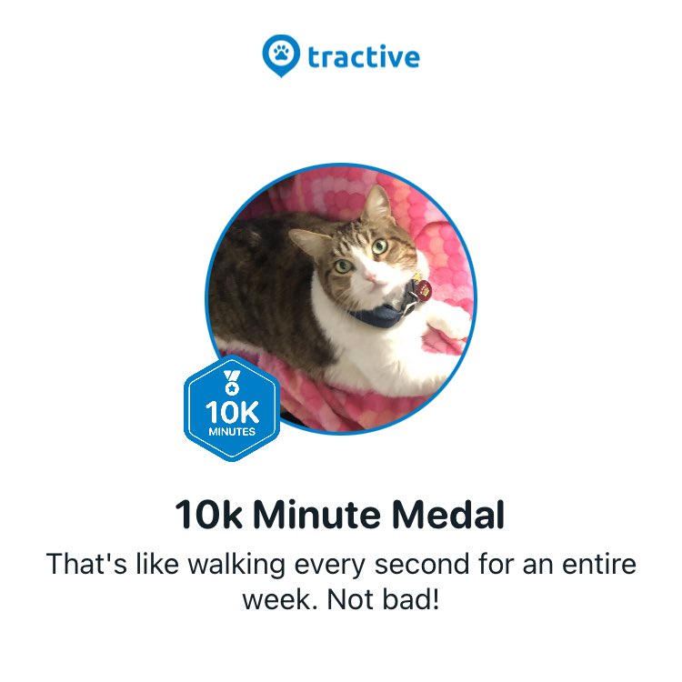 Leslie Michel tweet media