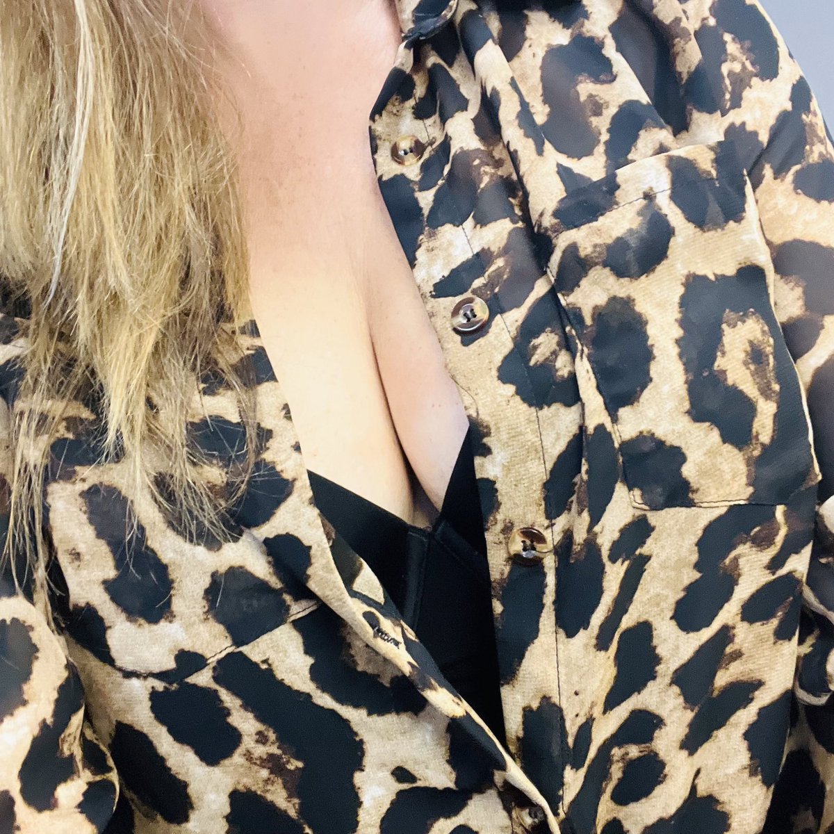 xosweetmaple's tweet photo. I missed 2 buttons on my shirt at work, sat at my desk and waited. Several guys came by to chat. I made constant eye contact and caught a few glances. 👀 Only you can stare. 😍
#tease #Teaser #TeaserTuesdays 
#Unbuttoned #leopardprint #cleavage #milf #hotmom https://t.co/kA2FwAEMSf