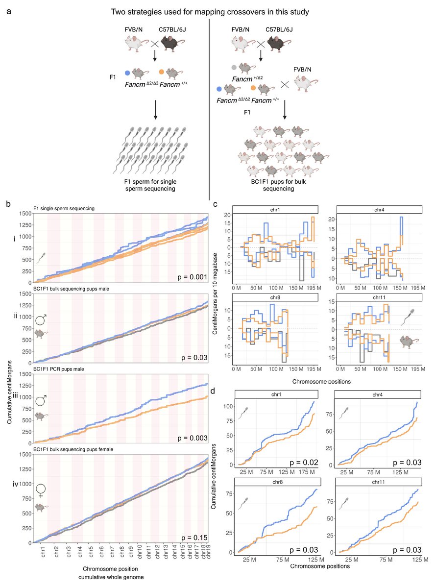 Wayne Crismani tweet media