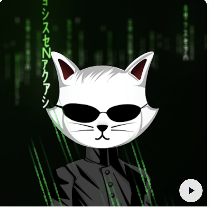 RyoshisVisionRV's tweet photo. New raffle on @RyoshiLabs!
Win a New and unopened Ledger Nano X + 1 Billion Ryoshi + 1/1 The Chosen One NFT only 300 tickets at .01 ETH 
Link 👉https://t.co/KVQpa2Nf7J 👈
#RyoshisVision #RyoshiLabs #Raffle https://t.co/T47hh5GZM7