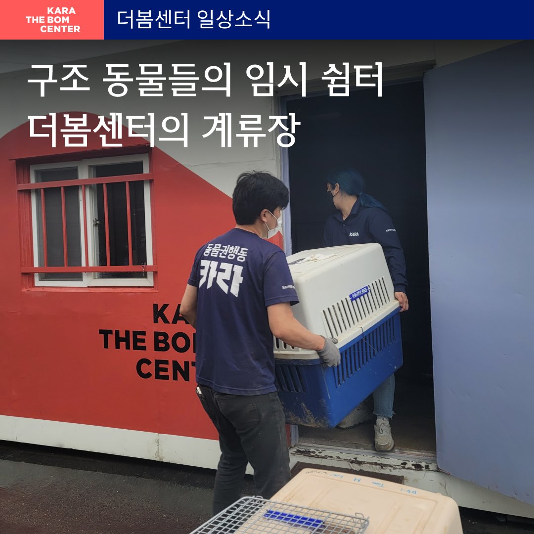 ekara_org's tweet photo. 여름을 지나고 있는 더봄센터, 6월 소식 몰아보기! 6월에도 동물들과 소중한 시간을 보내고 있는 더봄센터의 소식을 만나보세요! 

>> https://t.co/j5ax9Vh1Ai https://t.co/wD5J8cKN5I