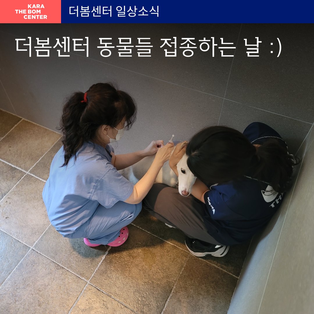 ekara_org's tweet photo. 여름을 지나고 있는 더봄센터, 6월 소식 몰아보기! 6월에도 동물들과 소중한 시간을 보내고 있는 더봄센터의 소식을 만나보세요! 

>> https://t.co/j5ax9Vh1Ai https://t.co/wD5J8cKN5I