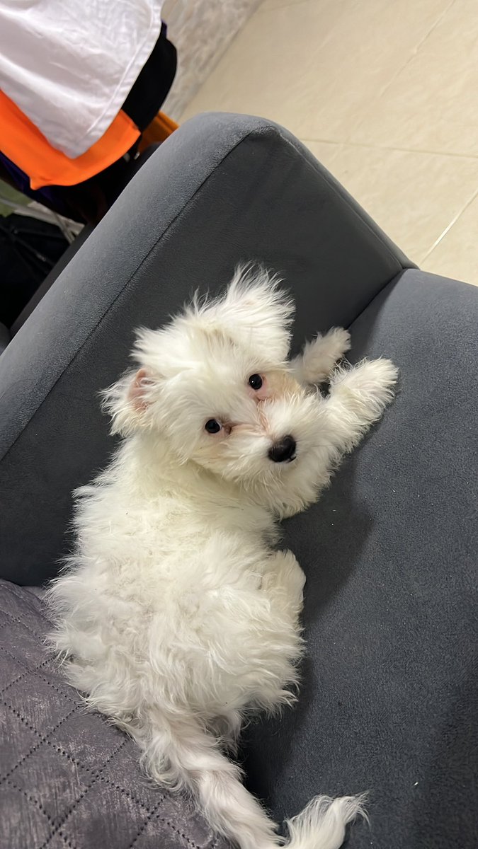 yurielkys's tweet photo. Te extraño😞 https://t.co/ktXiz0bKp3