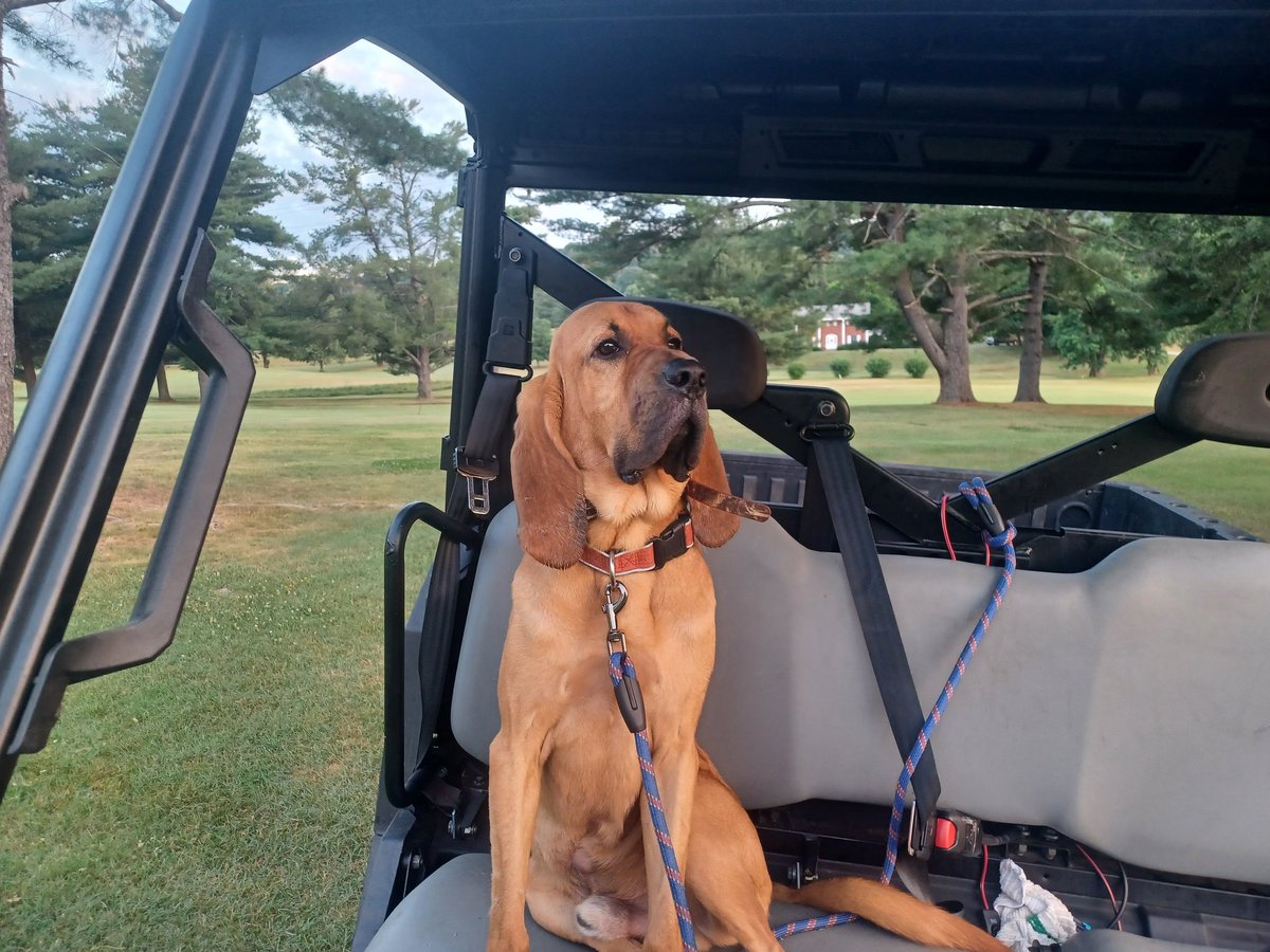 Eric Taylor (@erictaylor04) on Twitter photo 