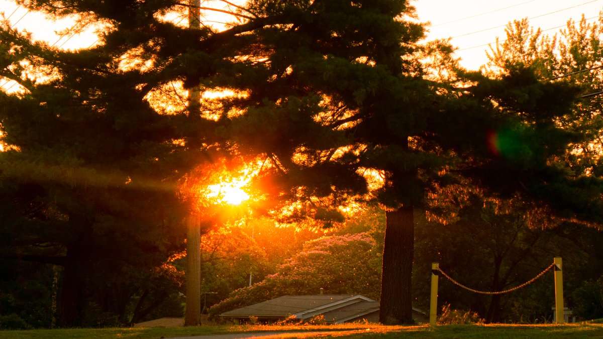 kway_side's tweet image. pz