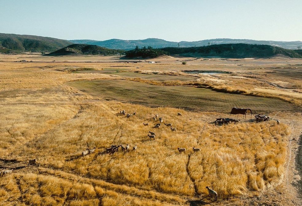 fried_egg_golf's tweet image. Grass is going down @bramblesgolf a new Coore and Crenshaw north of Napa.