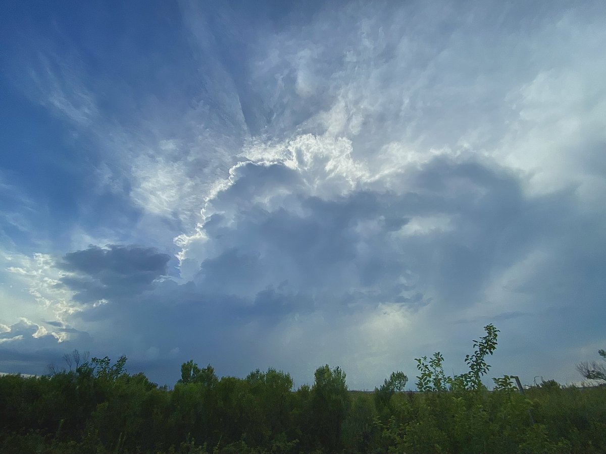 Stephanie Plaisance tweet media