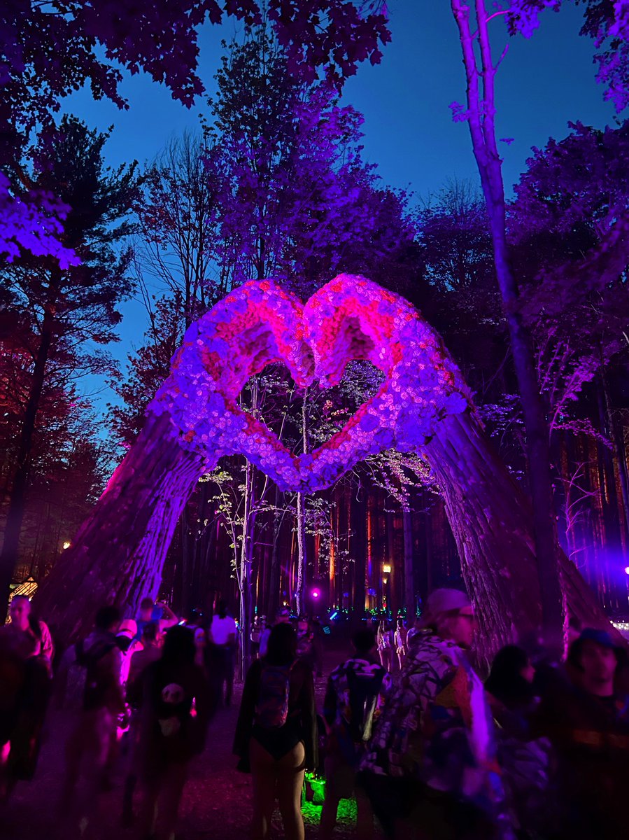 johnnyboy252's tweet photo. Beautiful forest 💜😍 @Electric_Forest https://t.co/aSD7EQfT2E