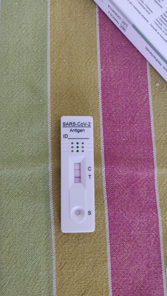 eiximenis's tweet photo. ¿Resaca de la #dotnet2022? 🤣🤣🤣🤣
Habré sido yo el mono de estallido??? 🤔🤔🤔🤔🤔 https://t.co/vbjvPT48Pf