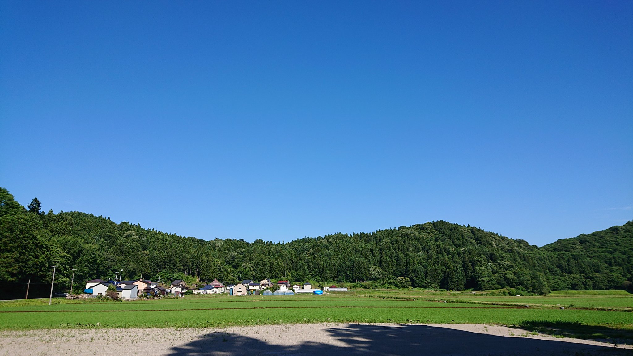 See Evoluzione458 S Tweet On Jun 30 22 Twitter