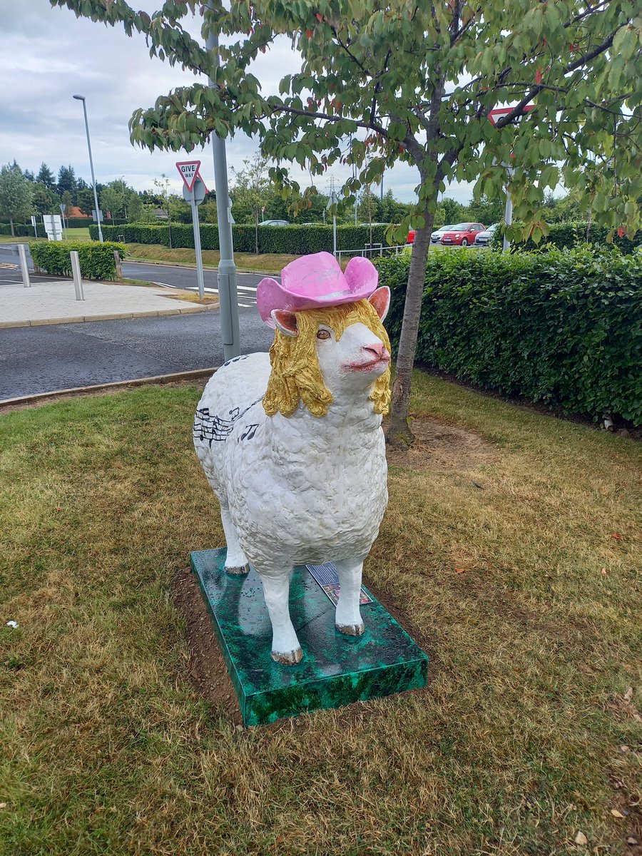 KirstyAnneJack2's tweet photo. I am soooo delighted to see that these gals have finally arrived at MCH!! Welcome to Dolly 1 and Dolly 2 😍 @Susan_Flockhart @sandihns6 @pear66 @N70GEC @FionaStratton1 @BarrowMorag https://t.co/HQXDAMdCRz