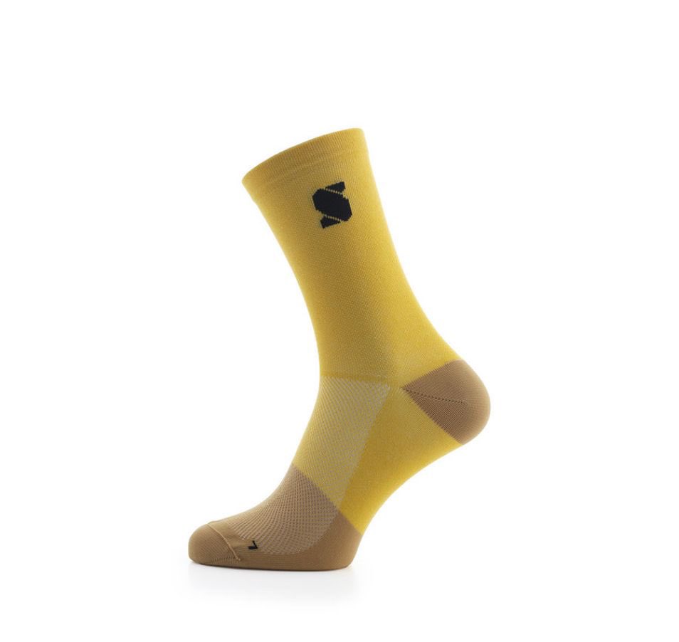 Thijs Zonneveld tweet media