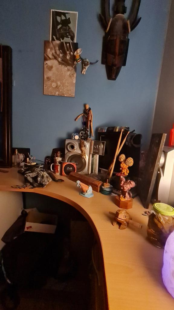 SoloWierdo's tweet photo. A part of the #ForrestRoom of mine! https://t.co/KvHhgVsk2b