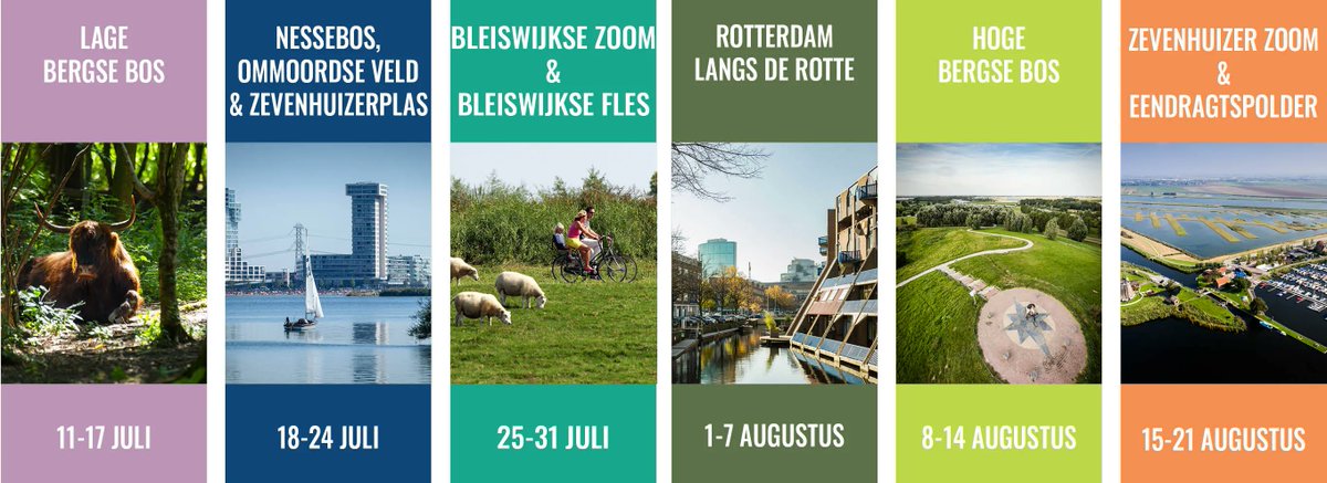Ook dit is de Rotte tweet media