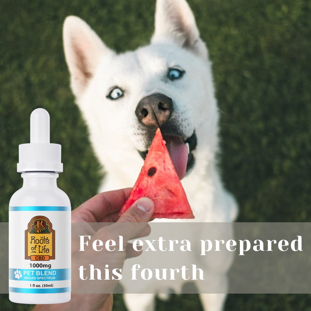RootsCBDHemp's tweet photo. Does your furry friend not enjoy fireworks as much as you do? Try CBD this fourth with our CBD pet blend safe for animals!

https://t.co/1KlizJ9YUL
.
.
.
.
.
#cbddeals #cbdsale #cbdtinctures #cbdtopicals #cbdcommunity #cbdhelps #cbdinfo https://t.co/En2Pa3ucS1