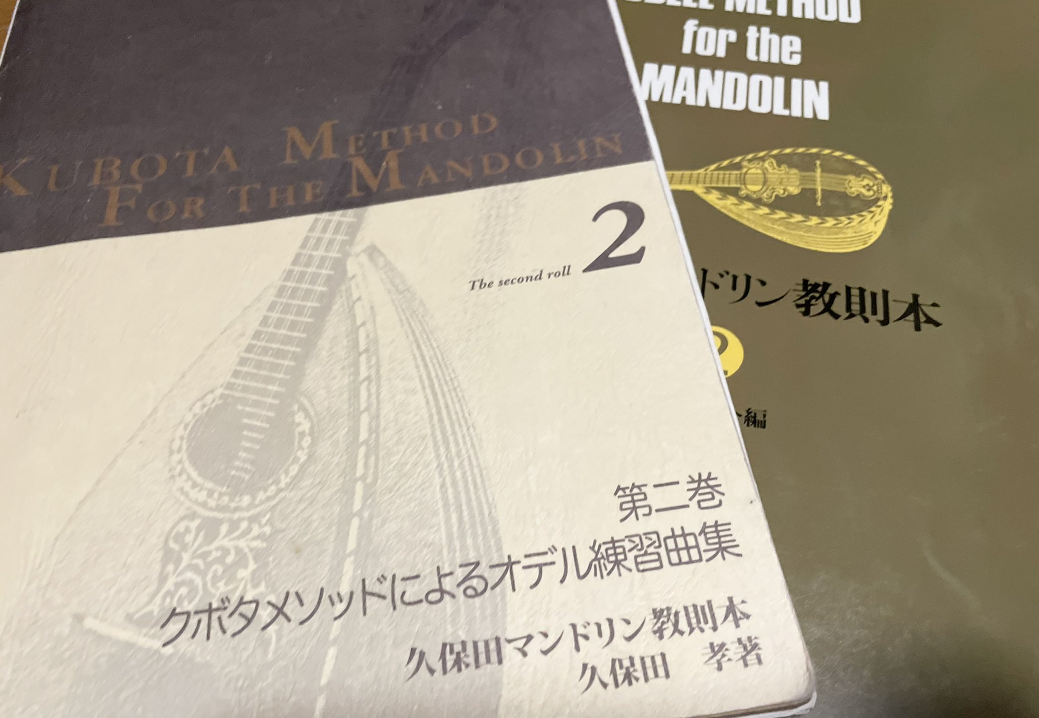 Tweets With Replies By 上智大学ソフィアマンドリーノ Sophiamandolino Twitter