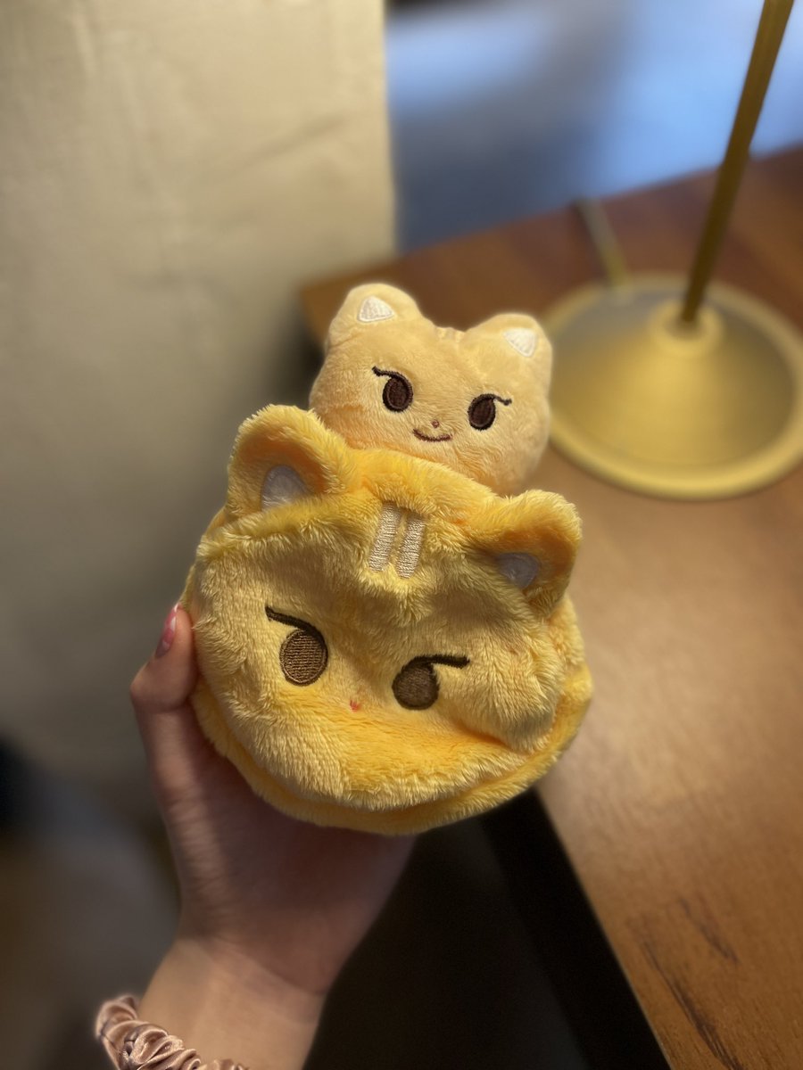 인형사총사✌🏻
랑 미유가 선물해쥰 소중한 리냥이지갑..🥹🤍💛
@myfav4un
