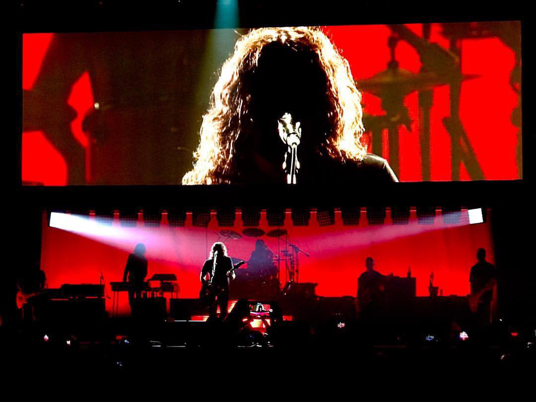 Foo Fighters Fan 🇺🇦 tweet media