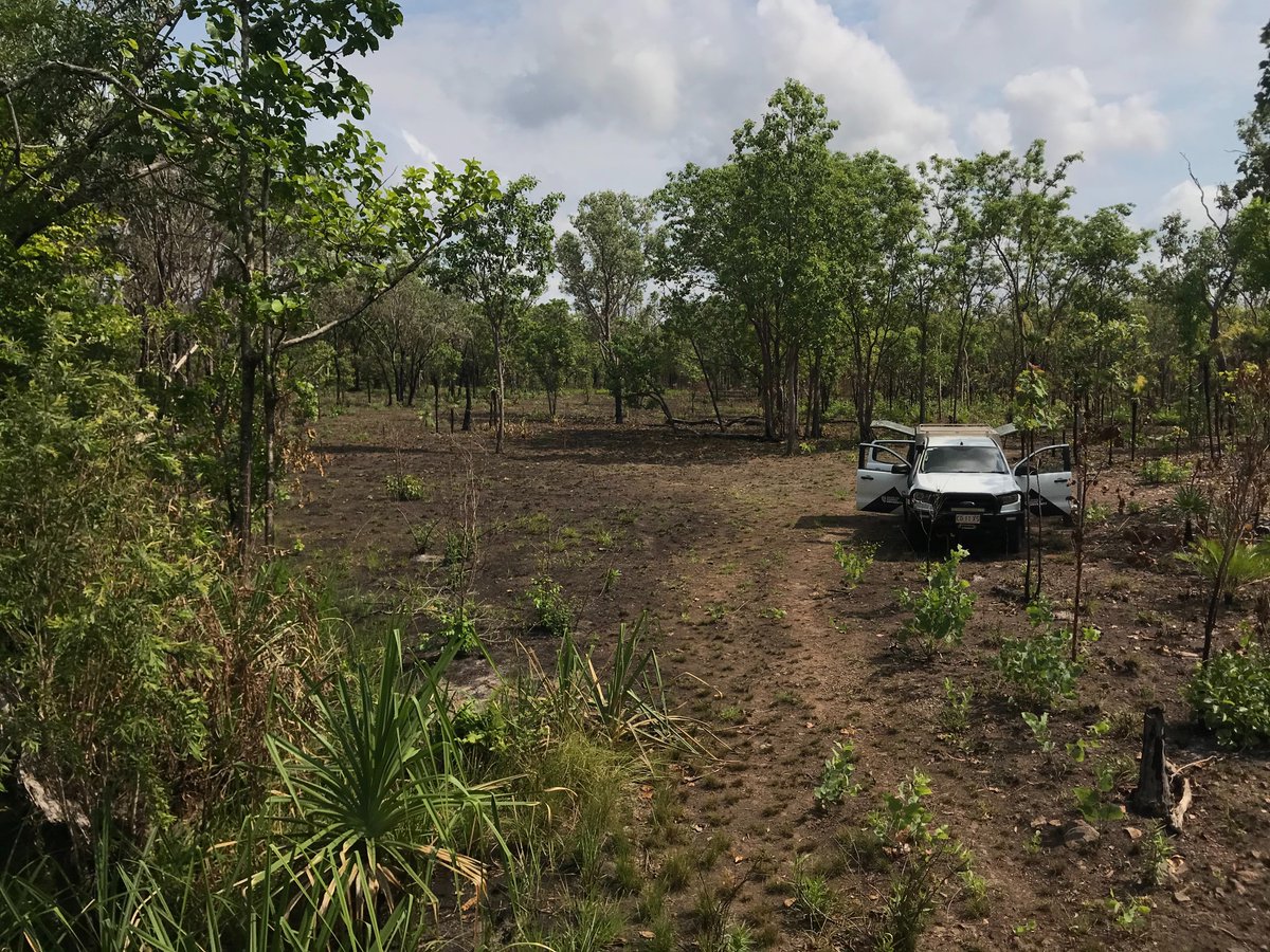 Vanessa Solano tweet media