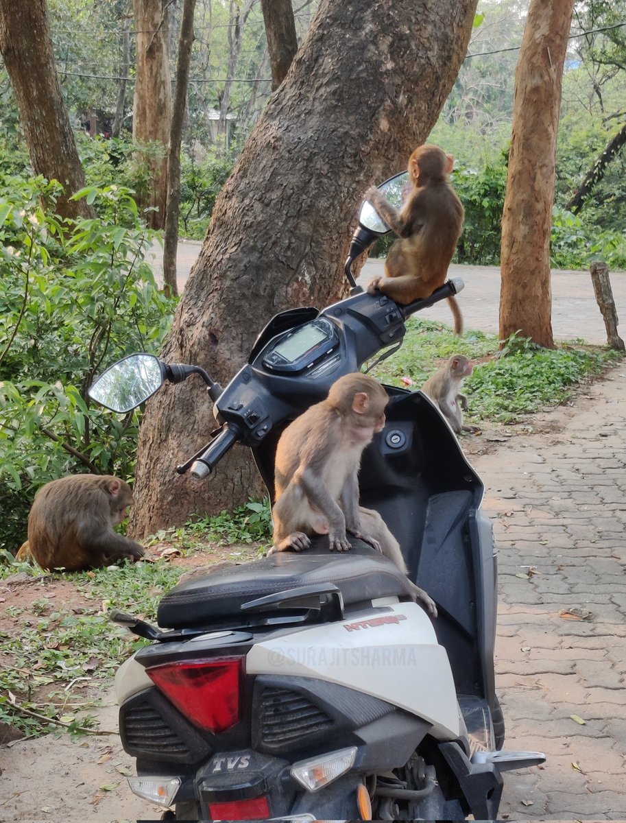 surajitz's tweet photo. They asked for a ride. I said no helmet no ride.
#guwahati #helmet #pillionhelmet #roadsafety https://t.co/FPjhn0mGLB