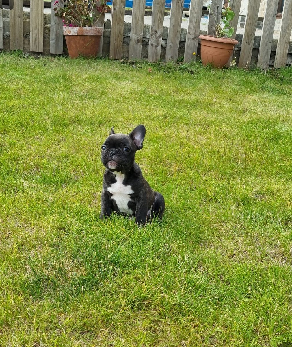 NmCax (@nicolam992) on Twitter photo 