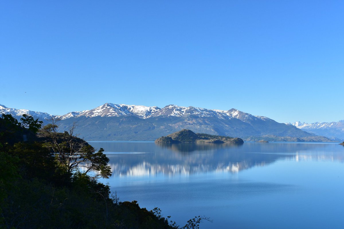 Josh Pike tweet media