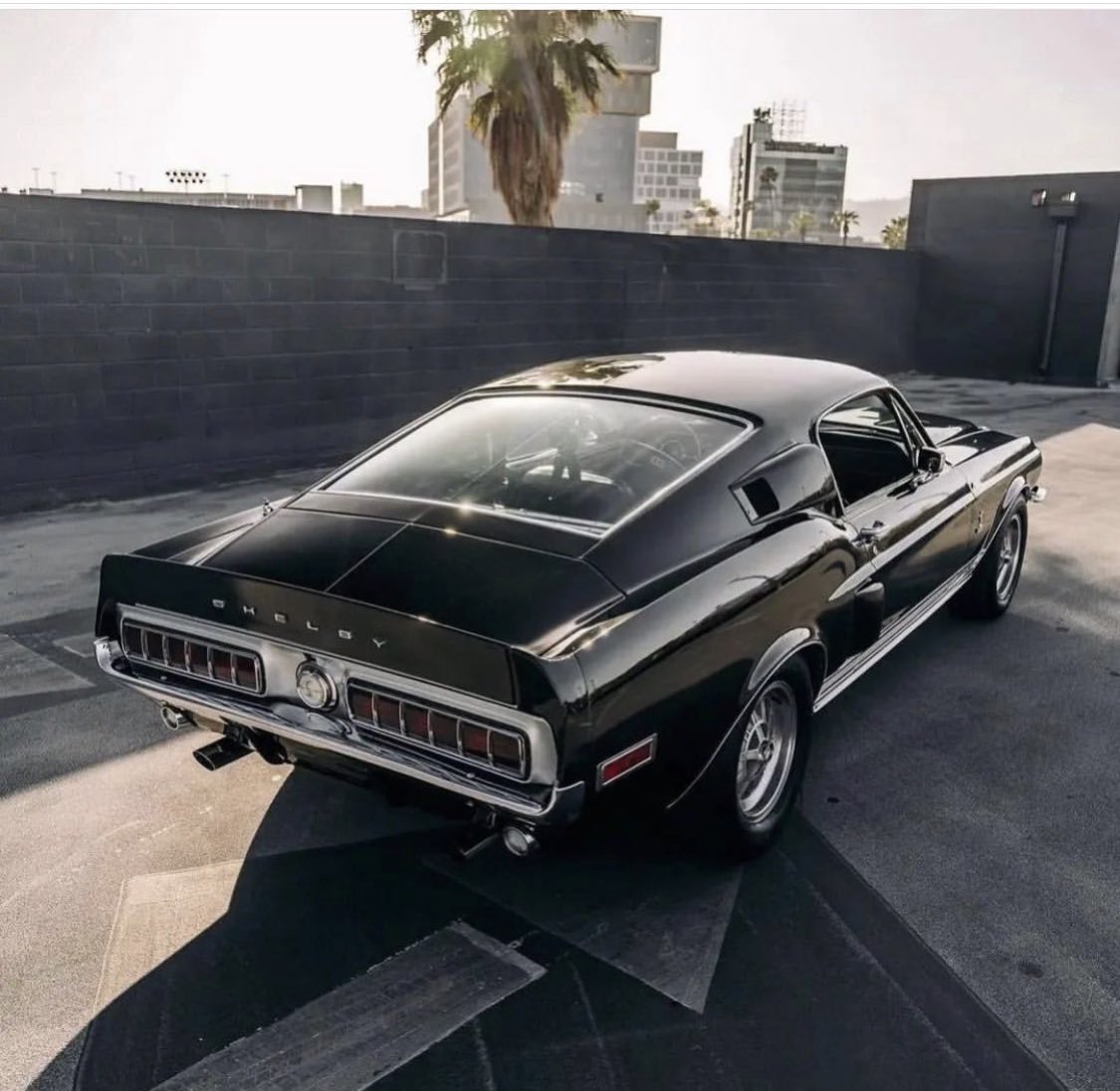 The #shelby love is real. instagram.com/p/CeY0IF1rs75/… #classicmustang #mustang