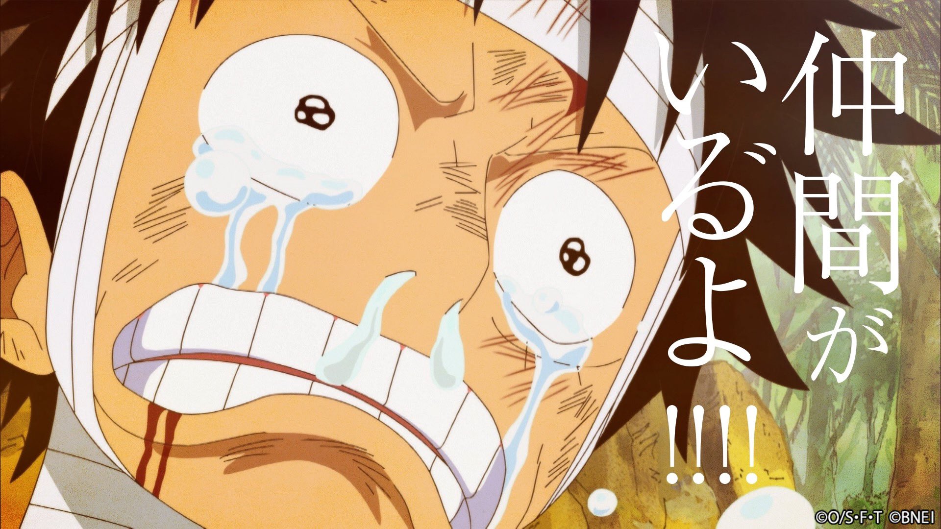 One Piece スタッフ 公式 Official 今年5月12日 木 に8周年を迎えた アプリゲーム トレジャークルーズ Film Red の公開も控えていることから アニメ主題歌をテーマにした記念映像 ポケットに1000話分のロマン を全10弾にわたり制作しました