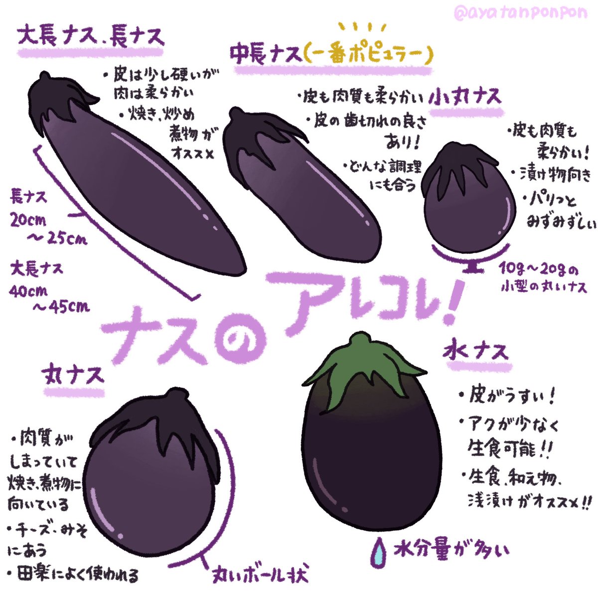 夏場よくスーパーで見る茄子の種類とオススメの調理法🍆! 