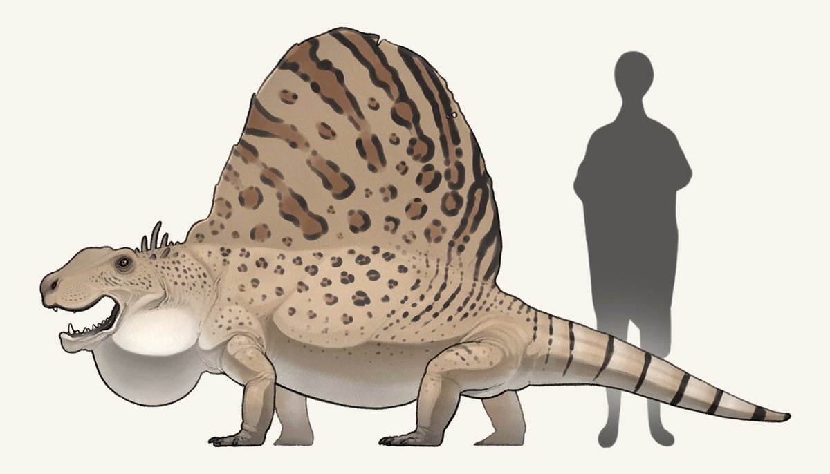 「最近描いた古生物たち 」|nao70sharkのイラスト