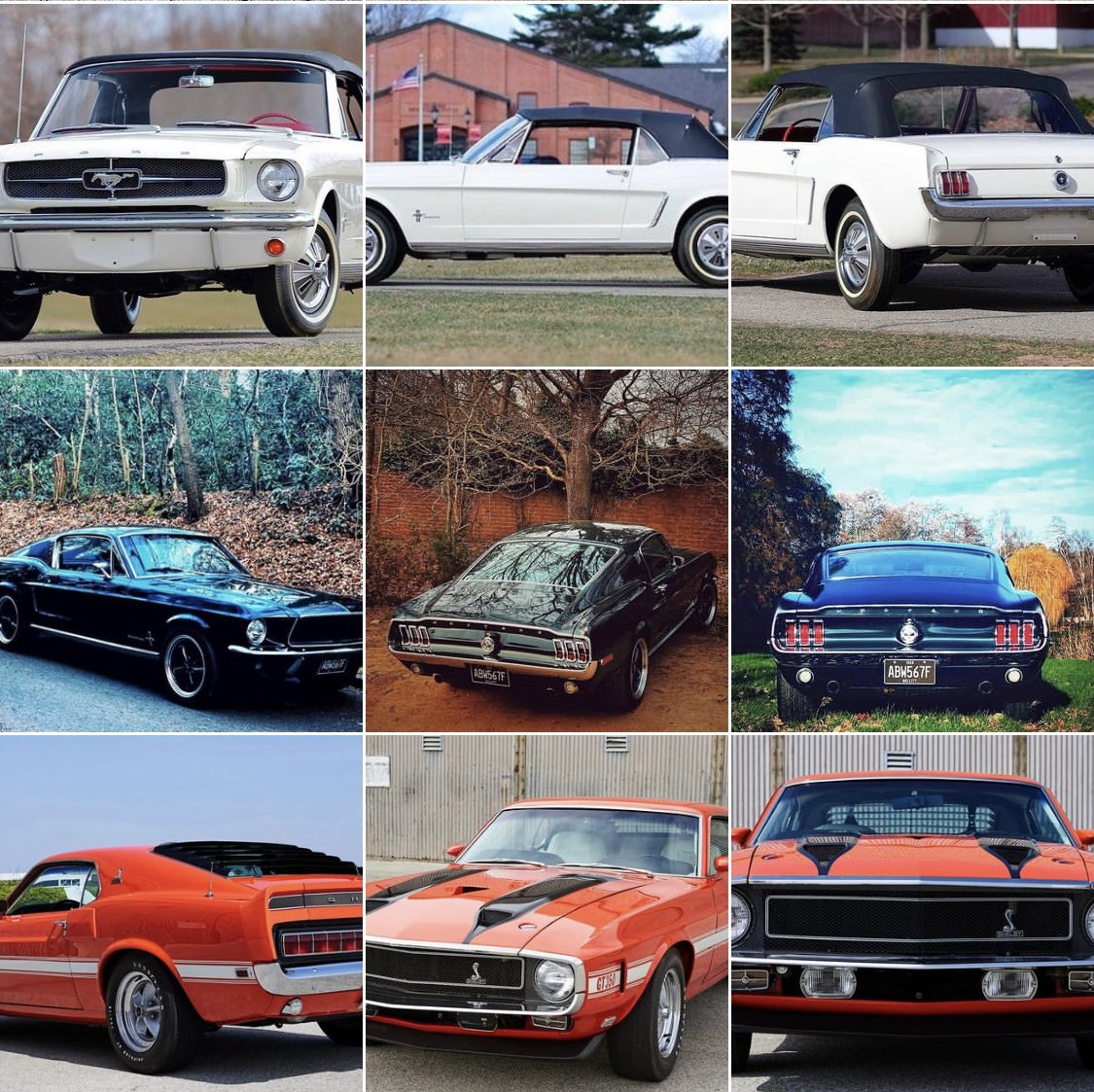 The only #podcast 100% dedicated to #classicmustang content. Apple Spotify or directly on TheMustangPodcast.com