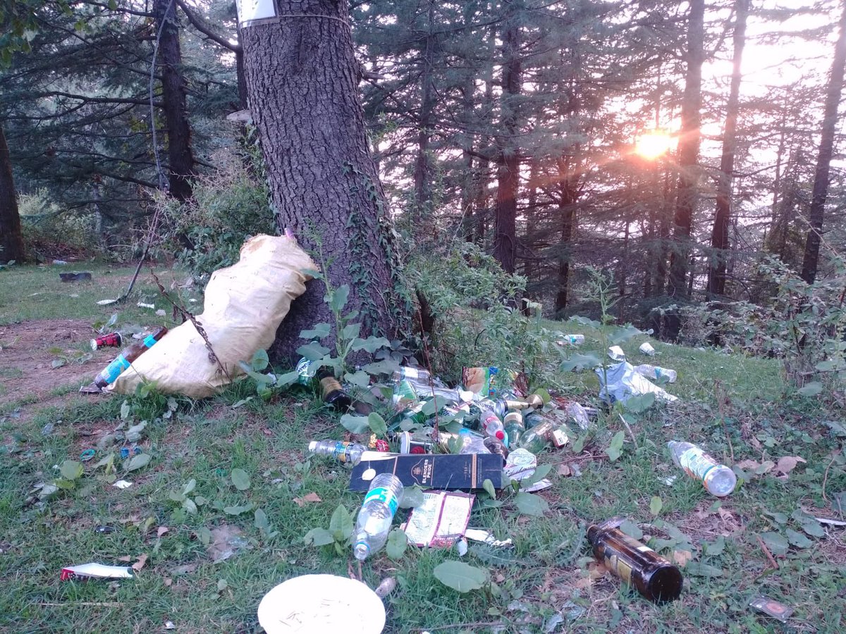 People &amp; forest 

We will pay the price of our ignorance