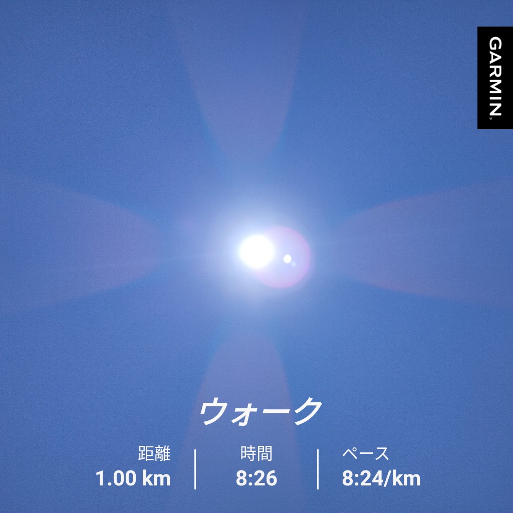 ネコヤナギ ランナー トレーニー Ubwl6xla44elrej Twitter