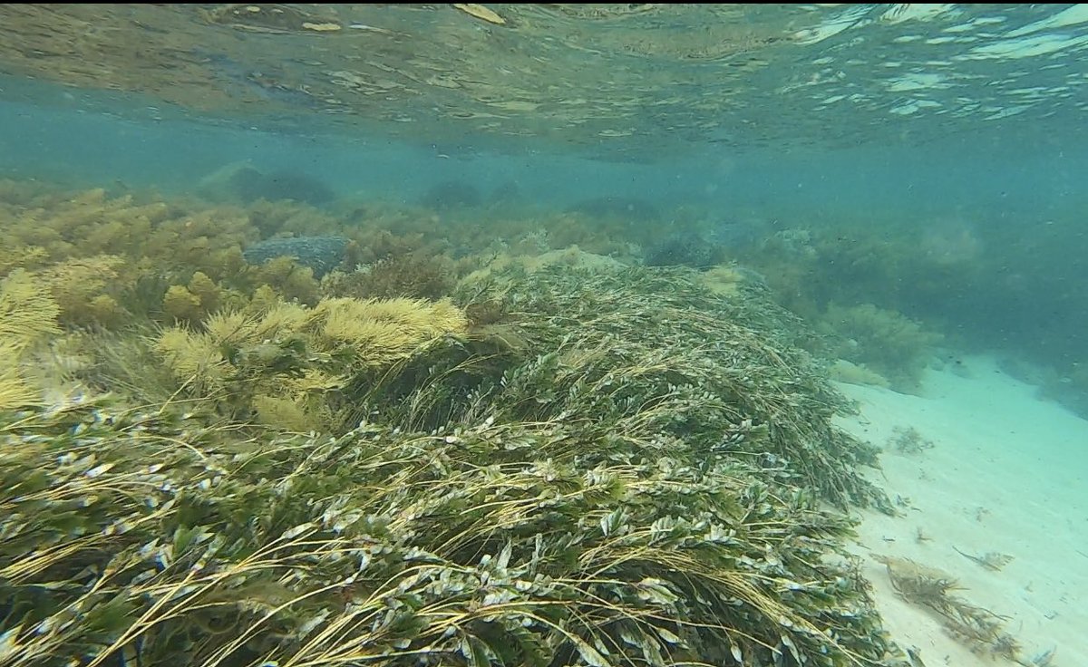 Alice Jones tweet media