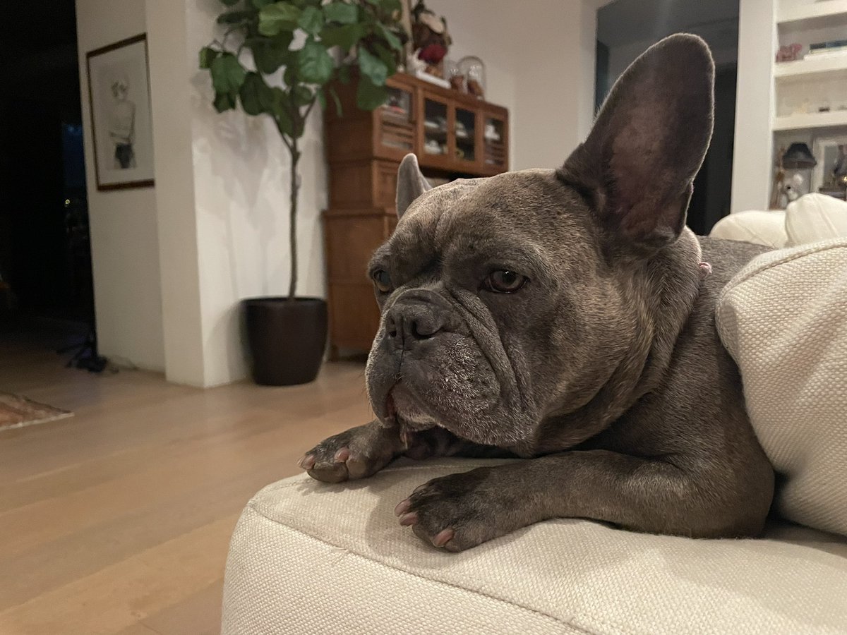 Miles Teller tweet media